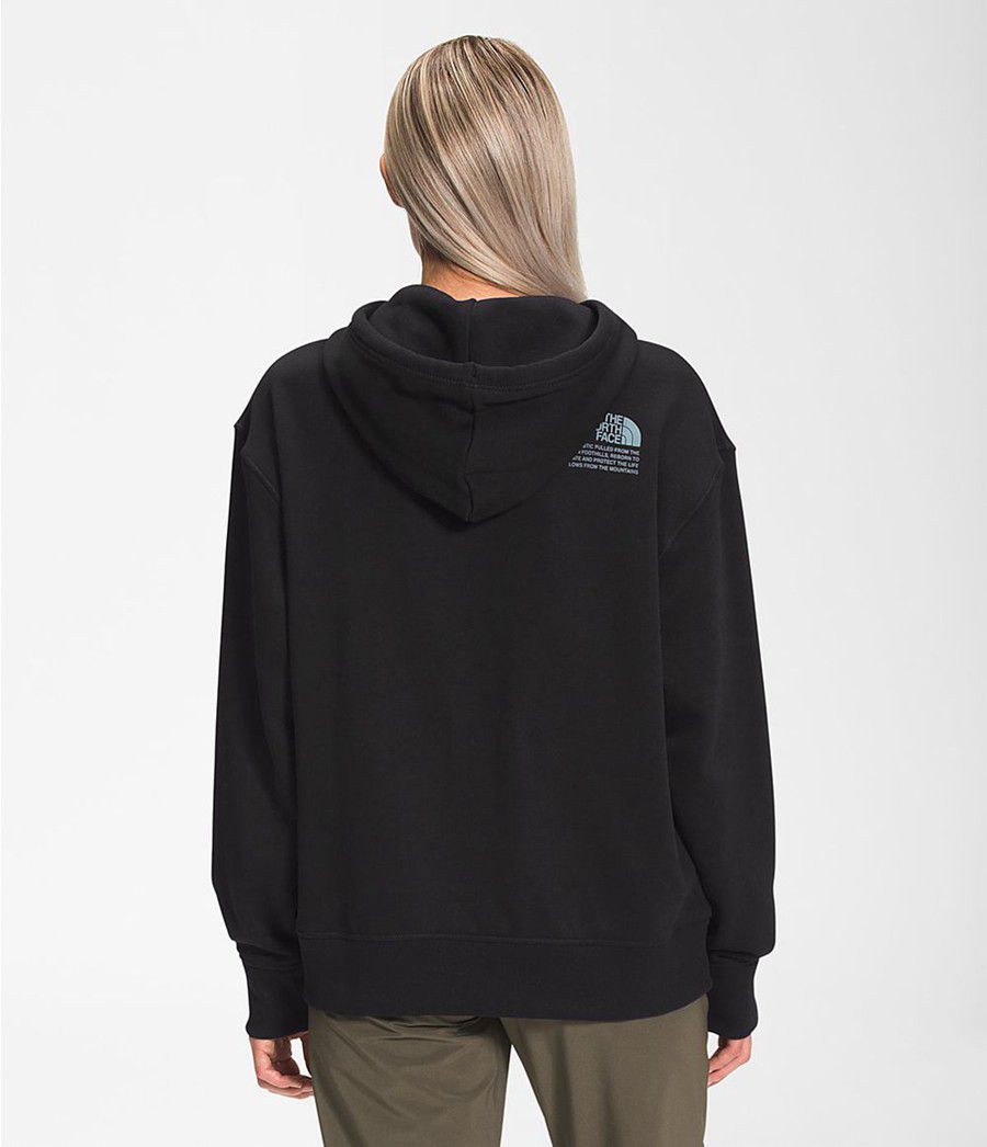 Dámské Hoodies The North Face Himalayan Bottle Source Pullover Černé | RBJLZCU-30