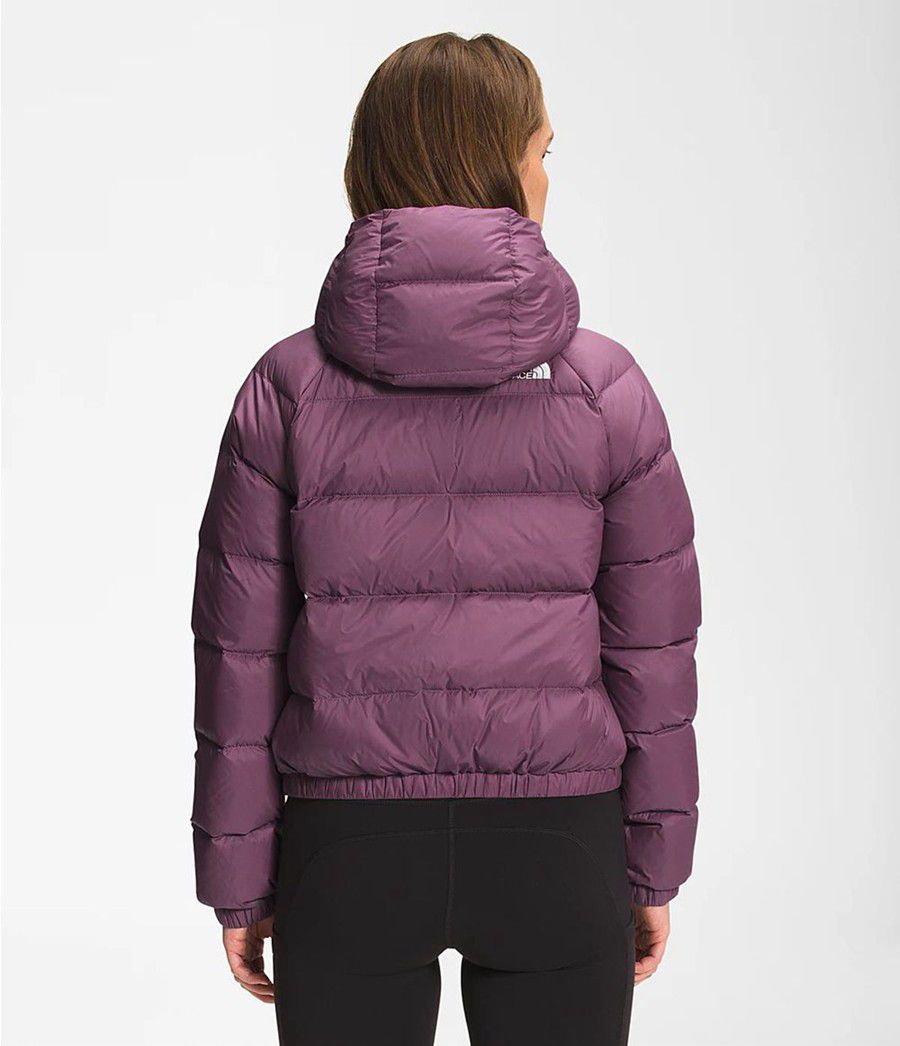 Dámské Hoodies The North Face Hydrenalite Down Fialové | DLSCRFH-48
