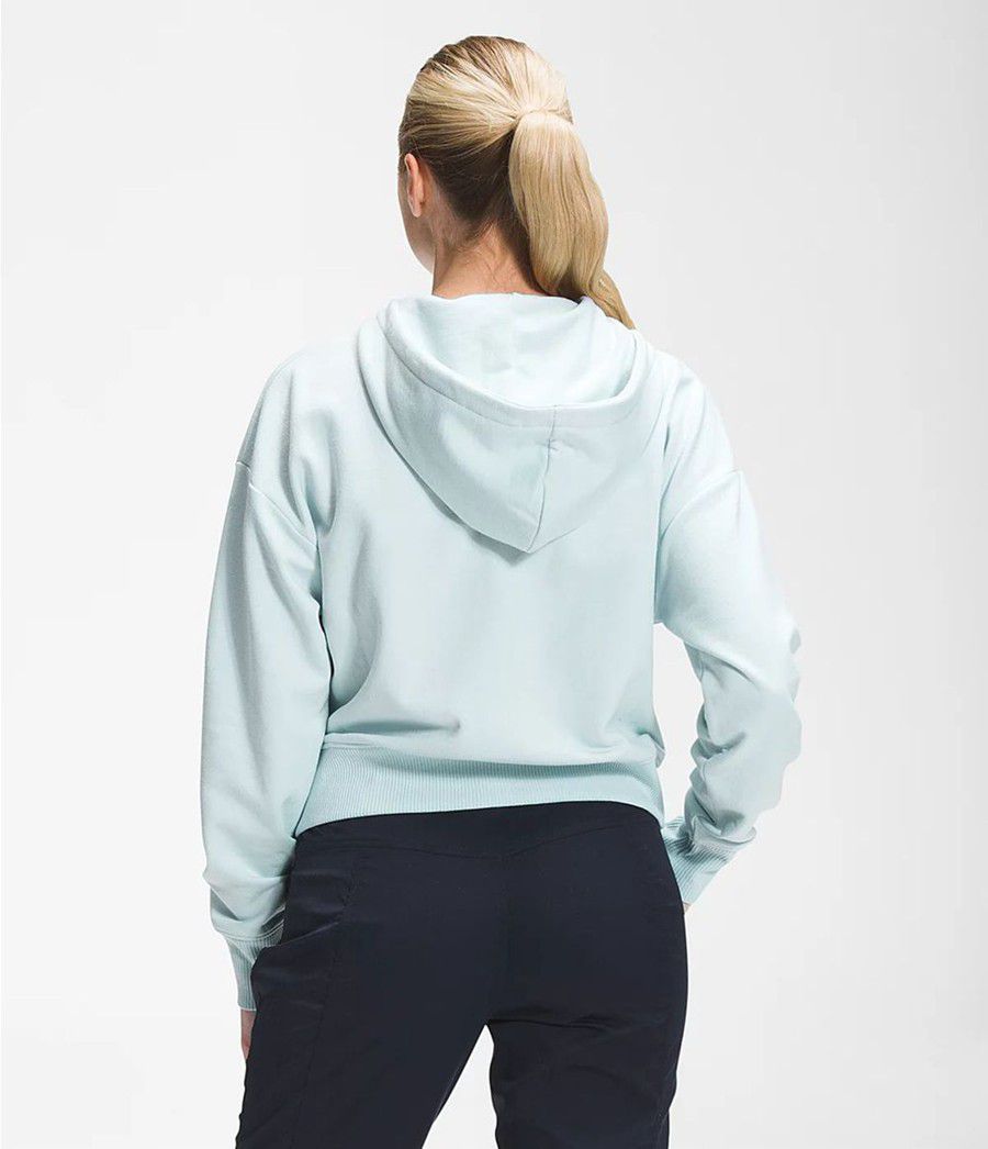 Dámské Hoodies The North Face Logo Play Blankyt | LRCXPJZ-83