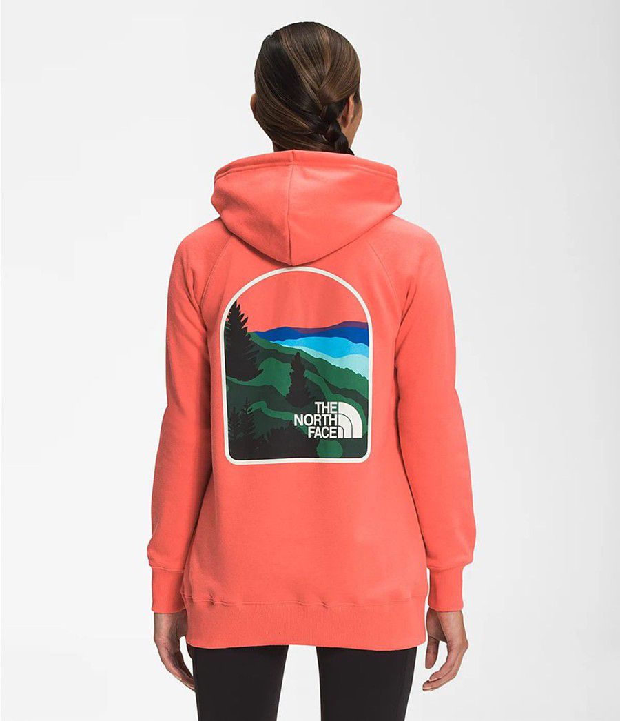 Dámské Hoodies The North Face Parks Pullover Oranžové | SAWHXVU-38