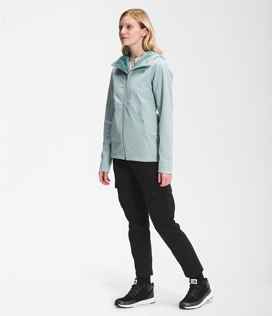 Dámské Hoodies The North Face Shelbe Raschel Blankyt | OKJZXQH-68