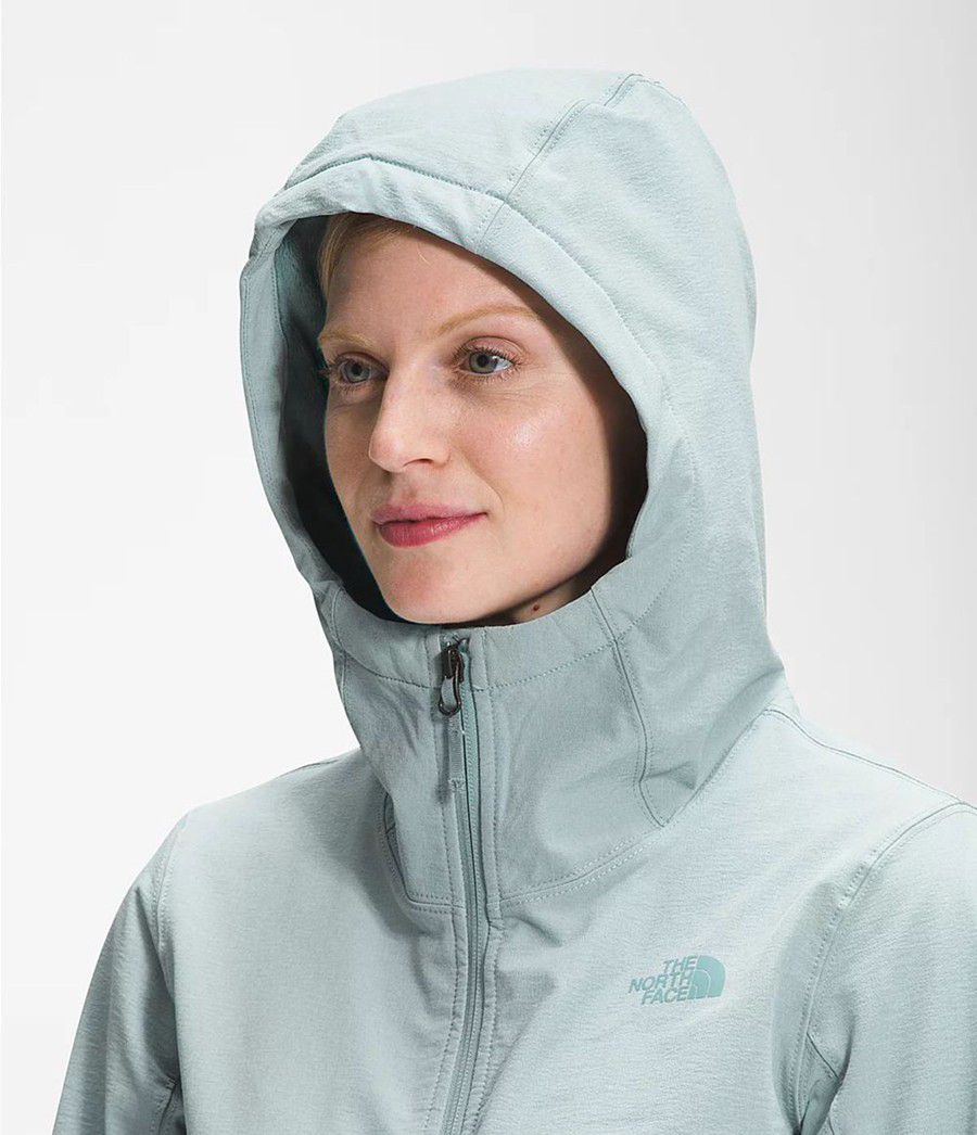Dámské Hoodies The North Face Shelbe Raschel Blankyt | OKJZXQH-68