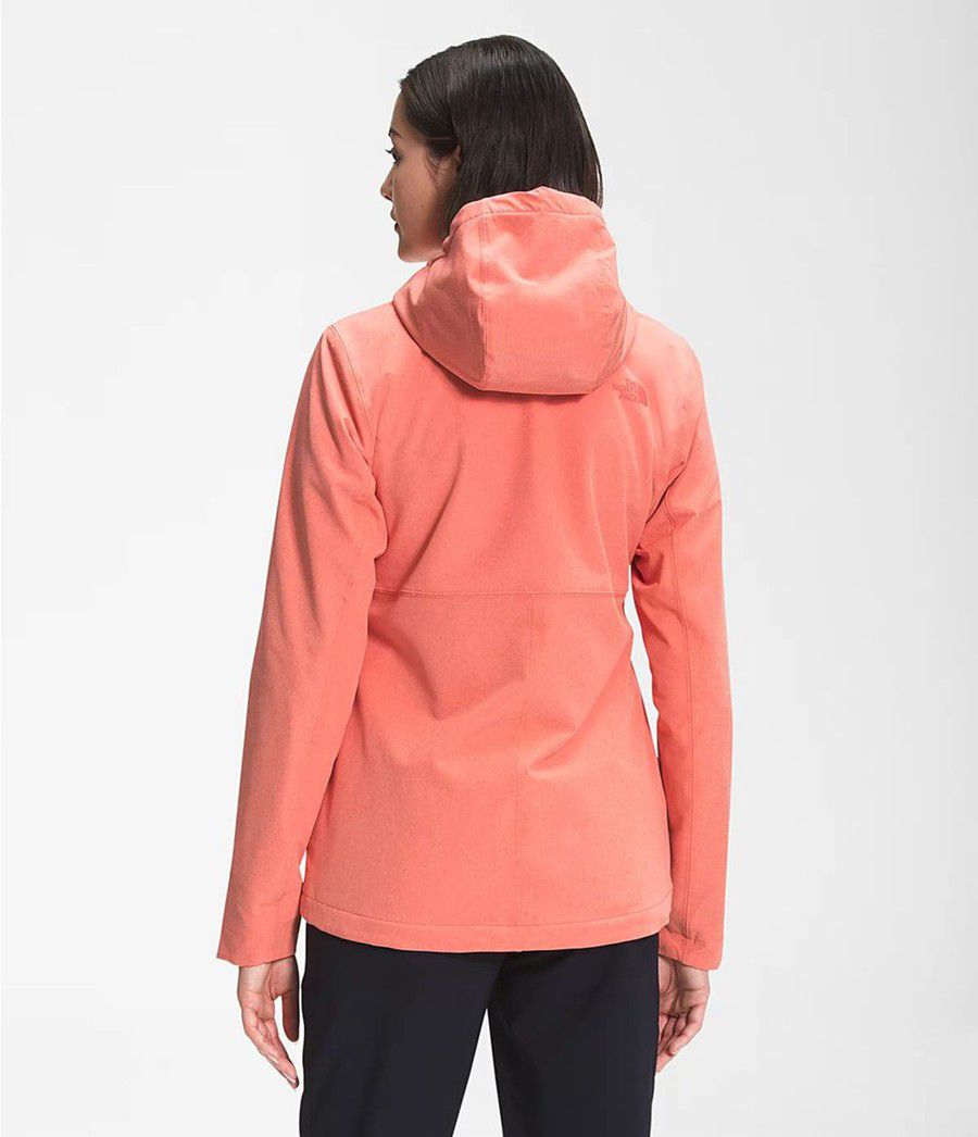 Dámské Hoodies The North Face Shelbe Raschel Oranžové | UPEGNKY-48