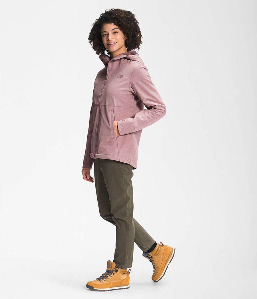 Dámské Hoodies The North Face Shelbe Raschel Světle Fialové | ZSHJBRO-45