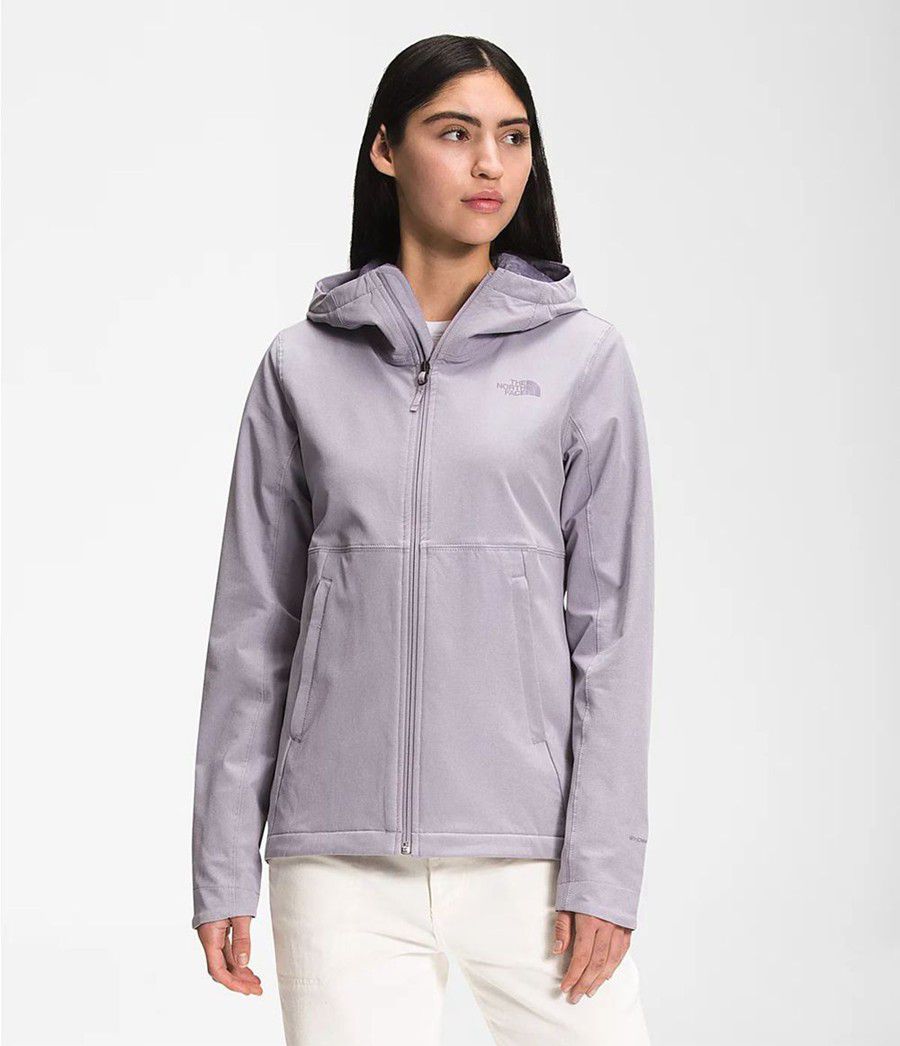 Dámské Hoodies The North Face Shelbe Raschel Šedé | FNDILSC-92