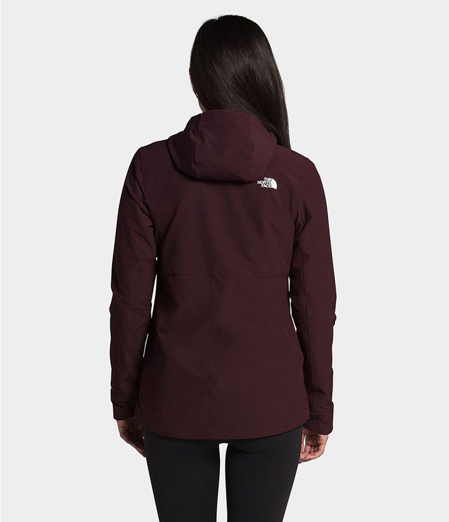 Dámské Hoodies The North Face Shelbe Raschel Hnědé | AXLBUTG-36