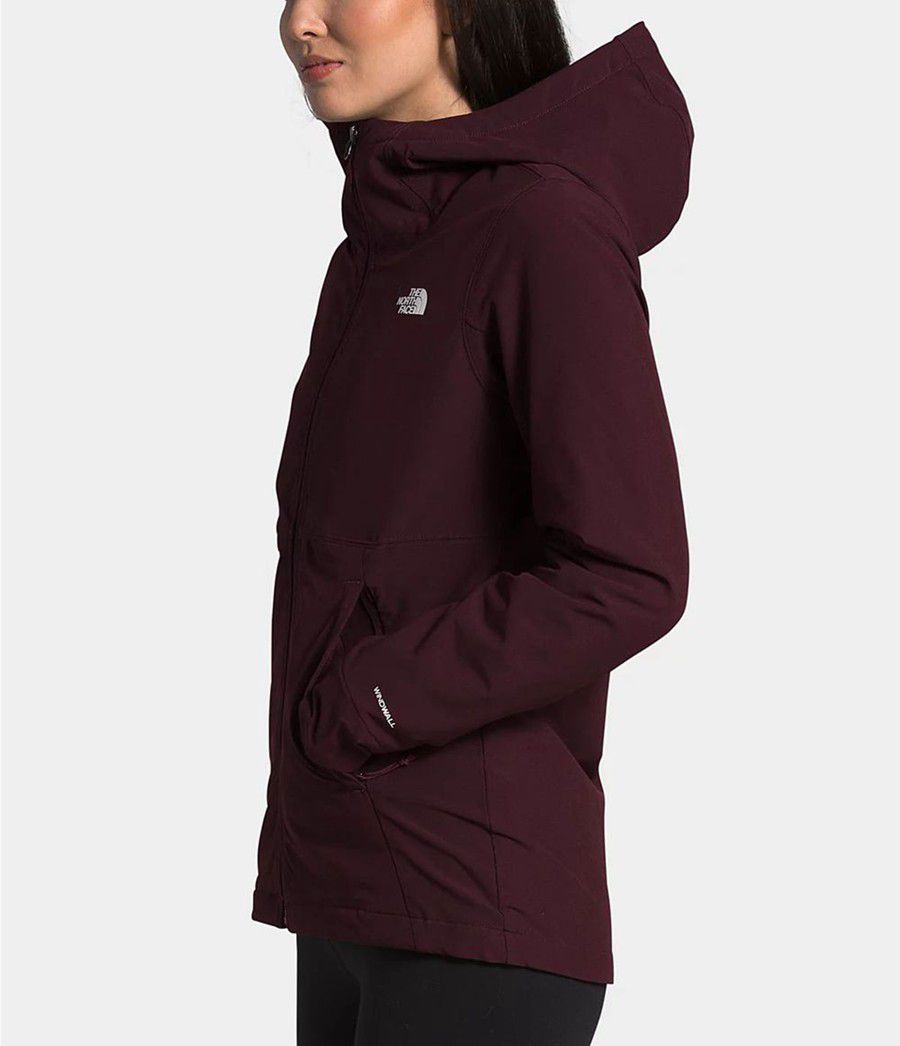 Dámské Hoodies The North Face Shelbe Raschel Hnědé | AXLBUTG-36