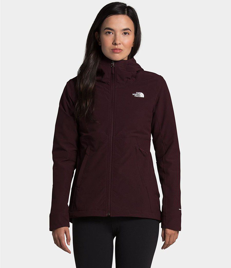 Dámské Hoodies The North Face Shelbe Raschel Hnědé | AXLBUTG-36