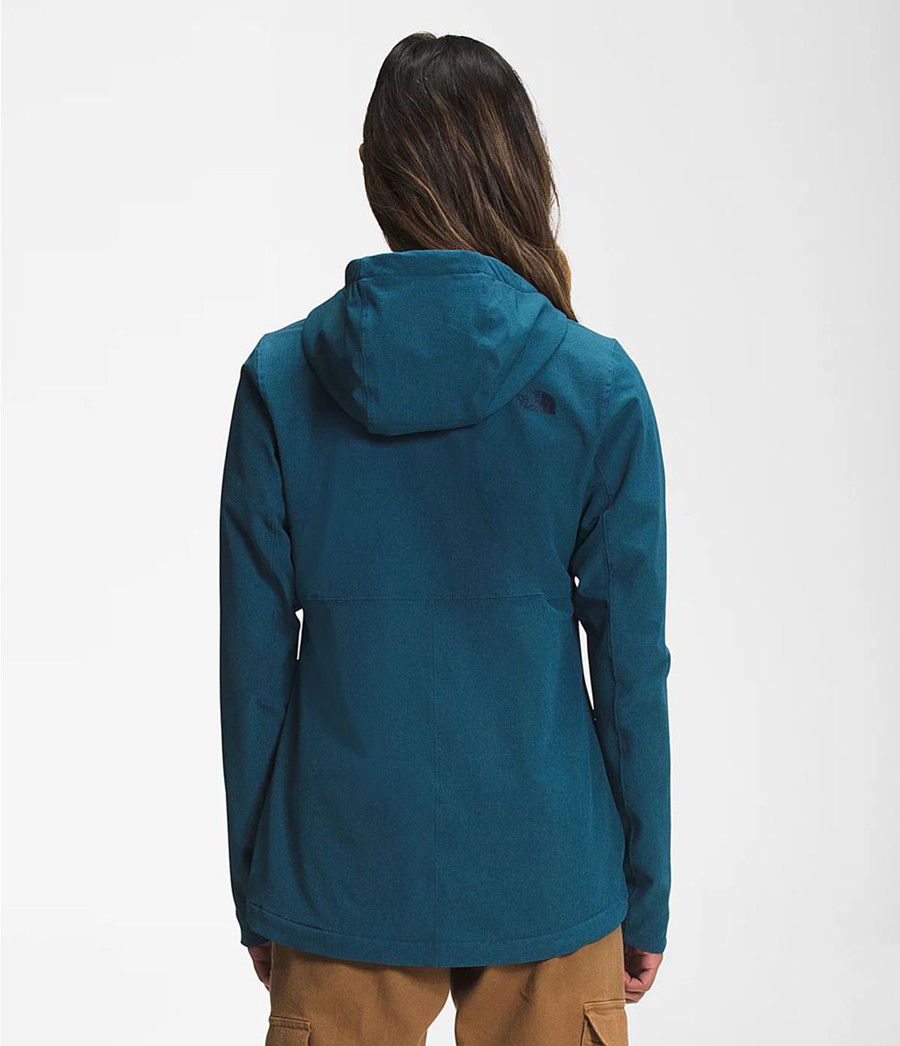 Dámské Hoodies The North Face Shelbe Raschel Blankyt | CBSQDWU-58