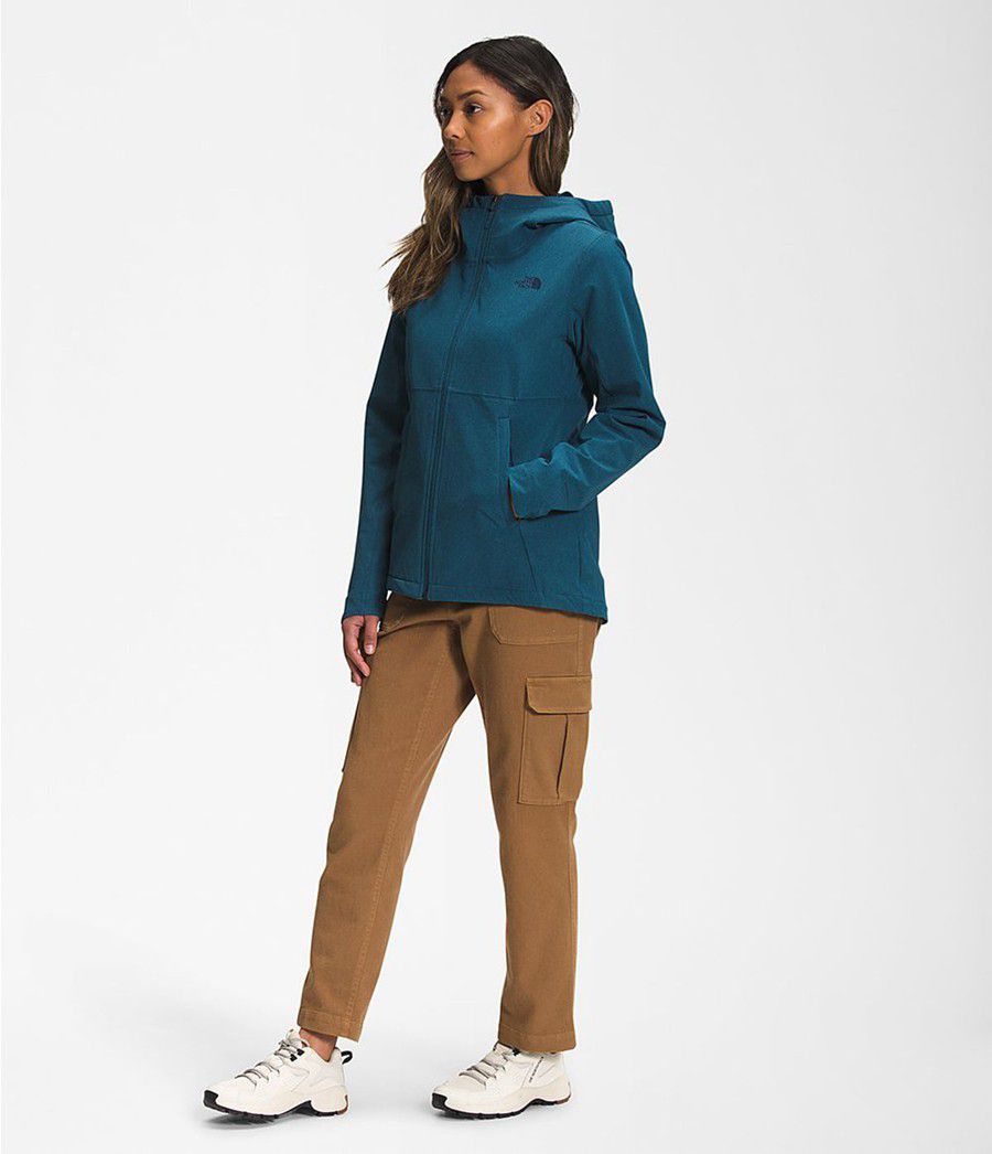 Dámské Hoodies The North Face Shelbe Raschel Blankyt | CBSQDWU-58