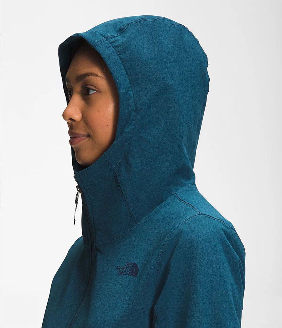 Dámské Hoodies The North Face Shelbe Raschel Blankyt | CBSQDWU-58