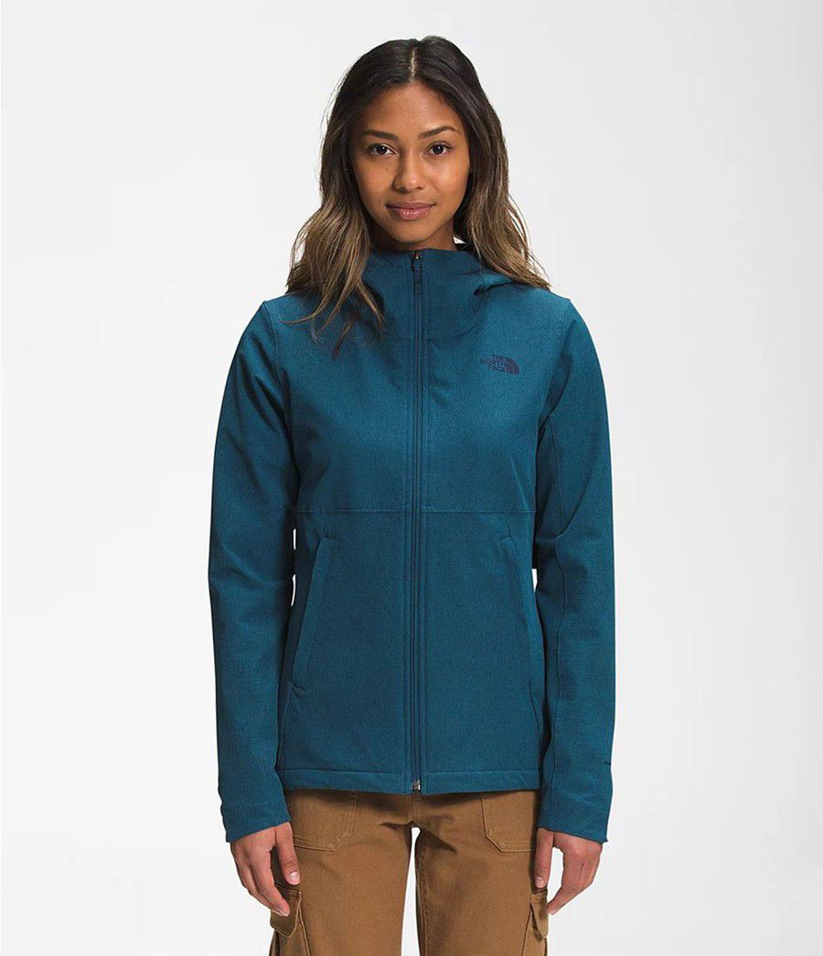 Dámské Hoodies The North Face Shelbe Raschel Blankyt | CBSQDWU-58