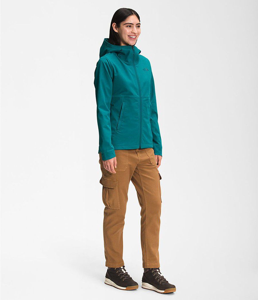Dámské Hoodies The North Face Shelbe Raschel Blankyt | LQVXWRP-23