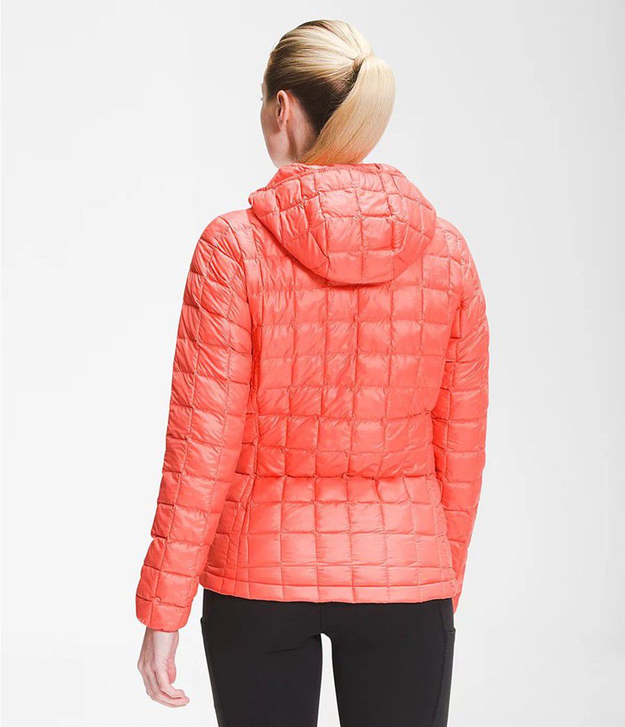 Dámské Hoodies The North Face Thermoball Eco Oranžové | DKEMBUL-80