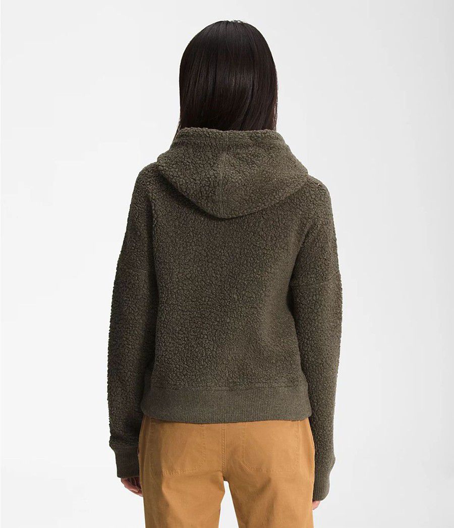 Dámské Hoodies The North Face Wool Harrison Pullover Taupe | HGQIWUC-67