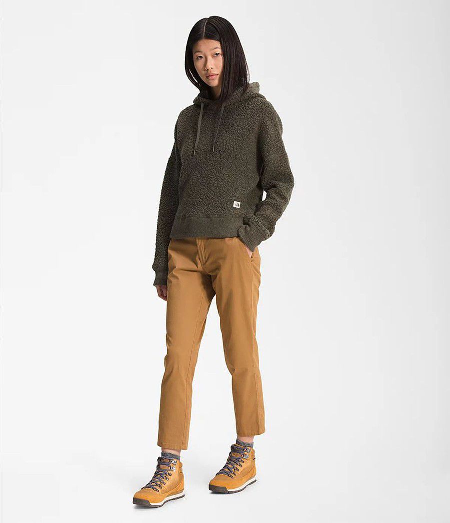 Dámské Hoodies The North Face Wool Harrison Pullover Taupe | HGQIWUC-67