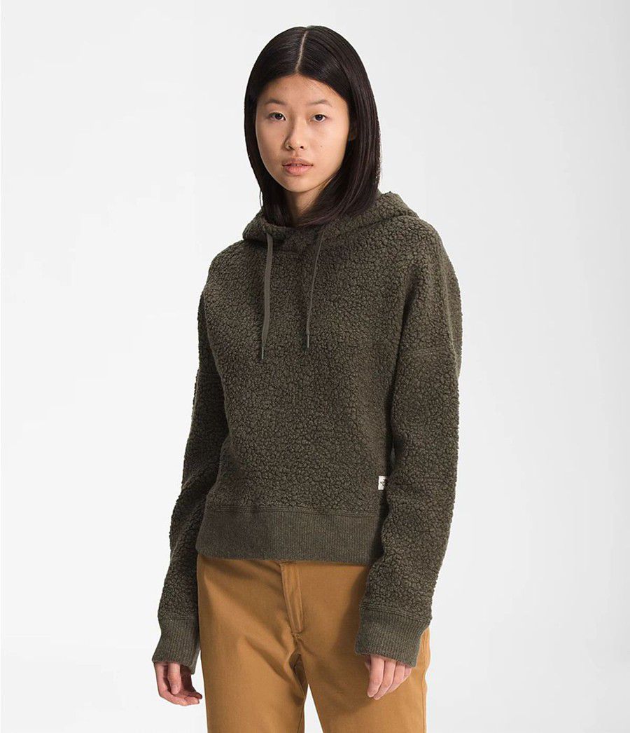 Dámské Hoodies The North Face Wool Harrison Pullover Taupe | HGQIWUC-67