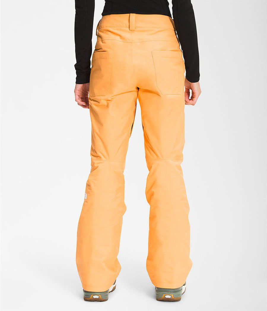 Dámské Kalhoty The North Face Aboutaday Oranžové | XZWCSMO-59