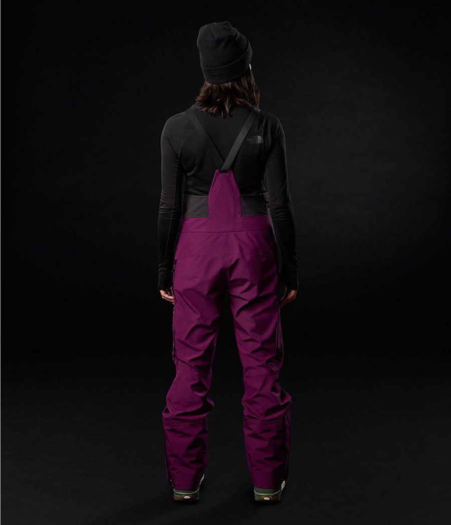 Dámské Kalhoty The North Face Brigandine Futurelight Bib Fialové | UXVNKGI-32