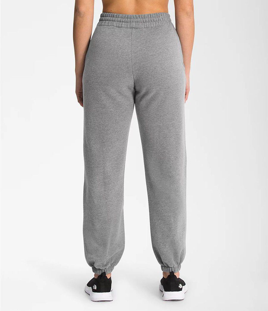 Dámské Kalhoty The North Face City Standard Šedé | CMVAIBU-60