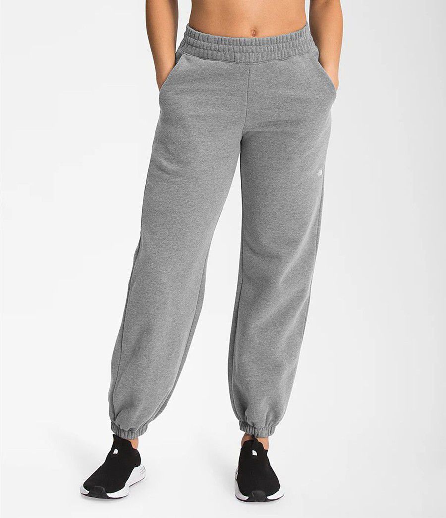 Dámské Kalhoty The North Face City Standard Šedé | CMVAIBU-60