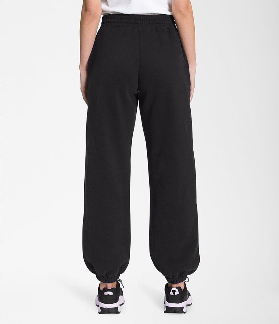 Dámské Kalhoty The North Face City Standard Černé | FXUKLPN-94