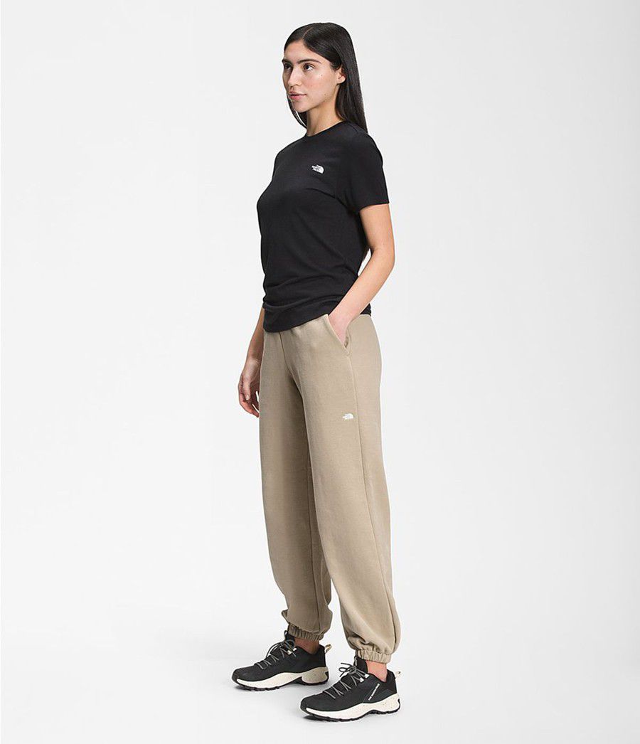 Dámské Kalhoty The North Face City Standard Béžový | GSOANBD-53