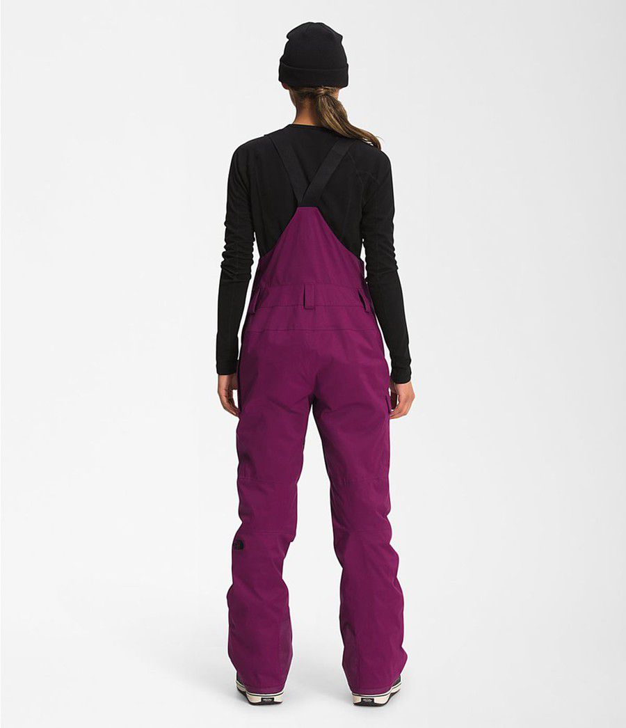 Dámské Kalhoty The North Face Freedom Insulated Bib Fialové | BGFIWJZ-98