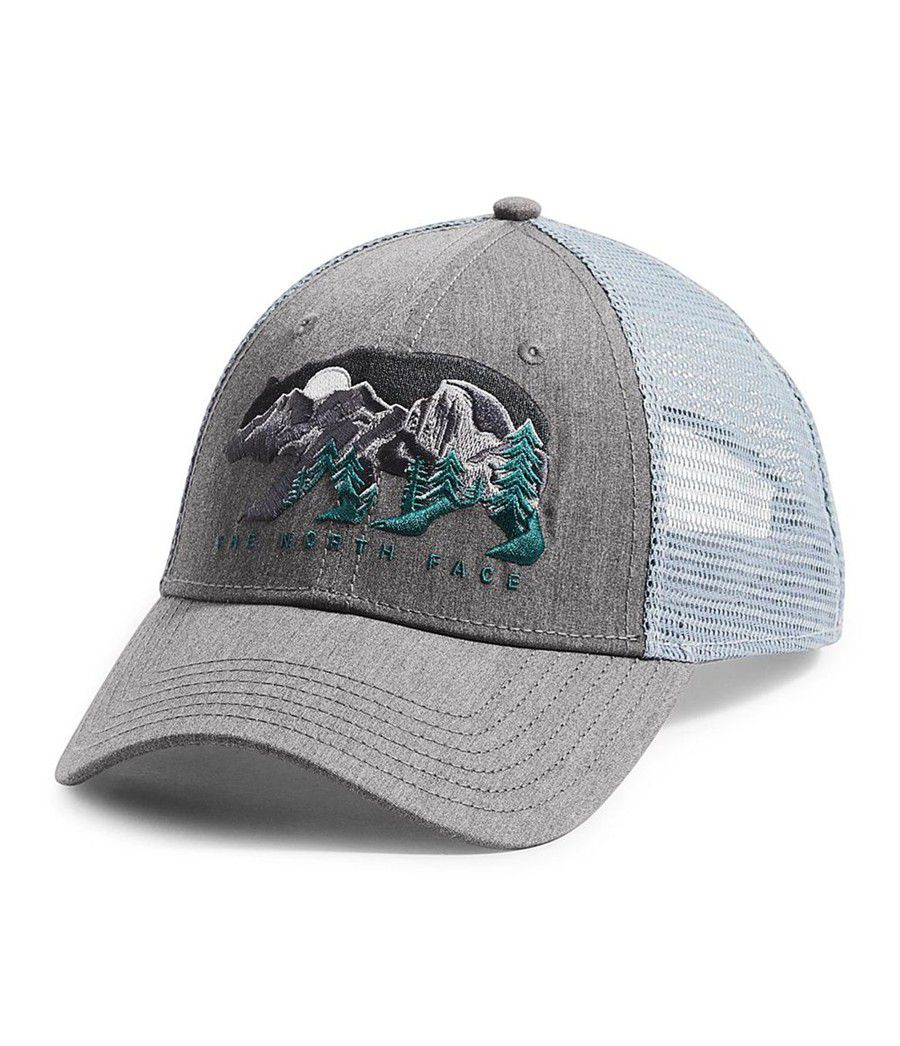 Dámské Klobouky The North Face Embroidered Trucker Šedé | ODFRJZI-61