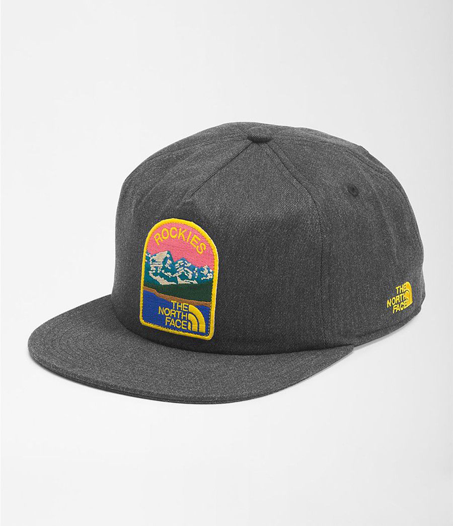 Dámské Klobouky The North Face Embroidered Earthscape Ball Cap Tmavě Šedé | CMAPVWH-79