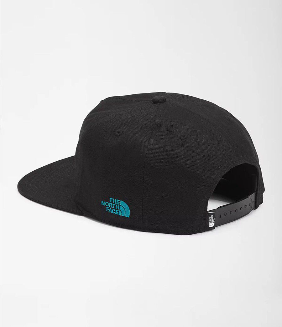 Dámské Klobouky The North Face Embroidered Earthscape Ball Cap Černé | FZCUYMN-80