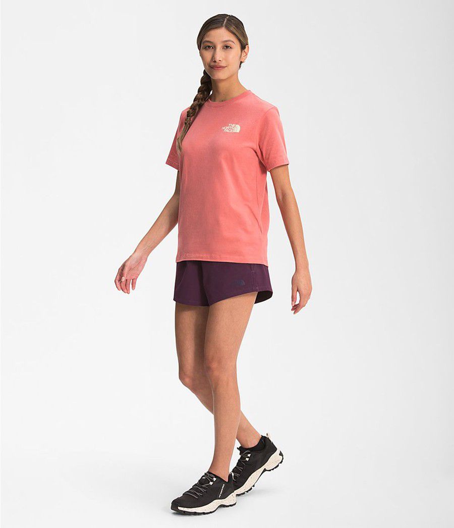 Dámské Kraťasy The North Face Wander Černé | IUHDFMX-39