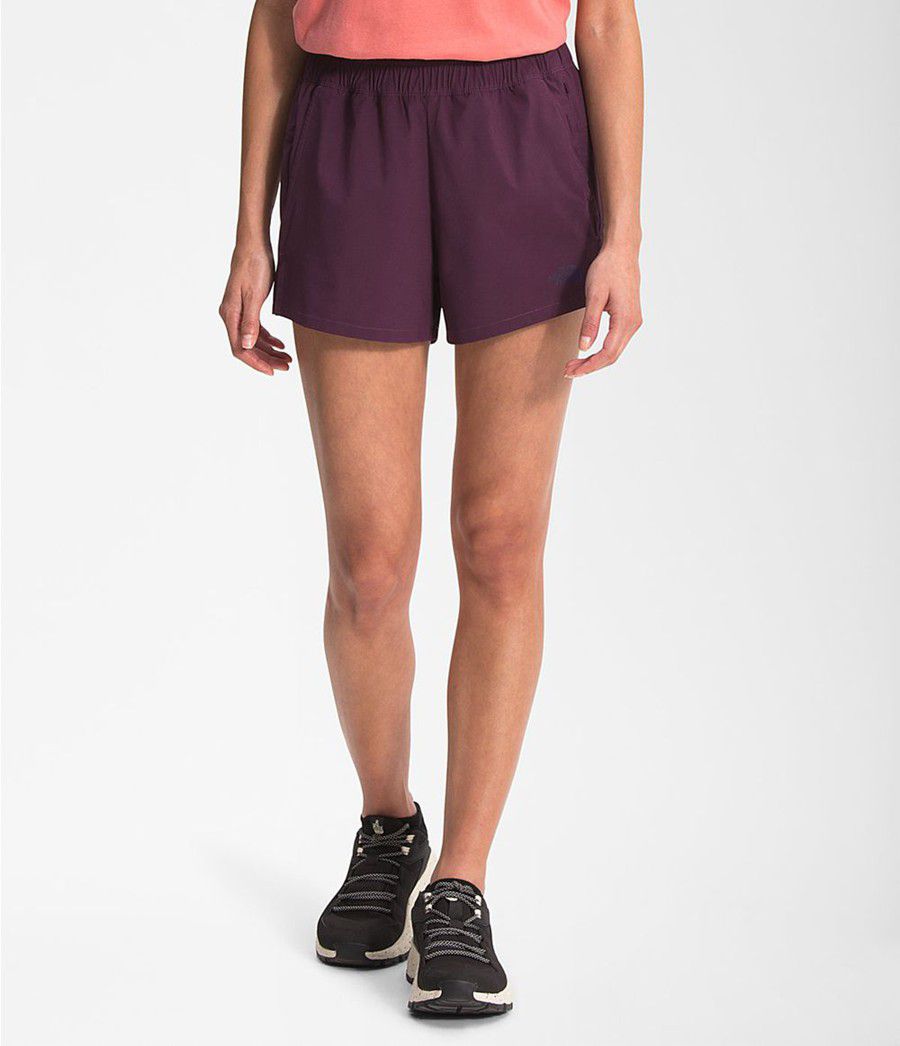 Dámské Kraťasy The North Face Wander Černé | IUHDFMX-39