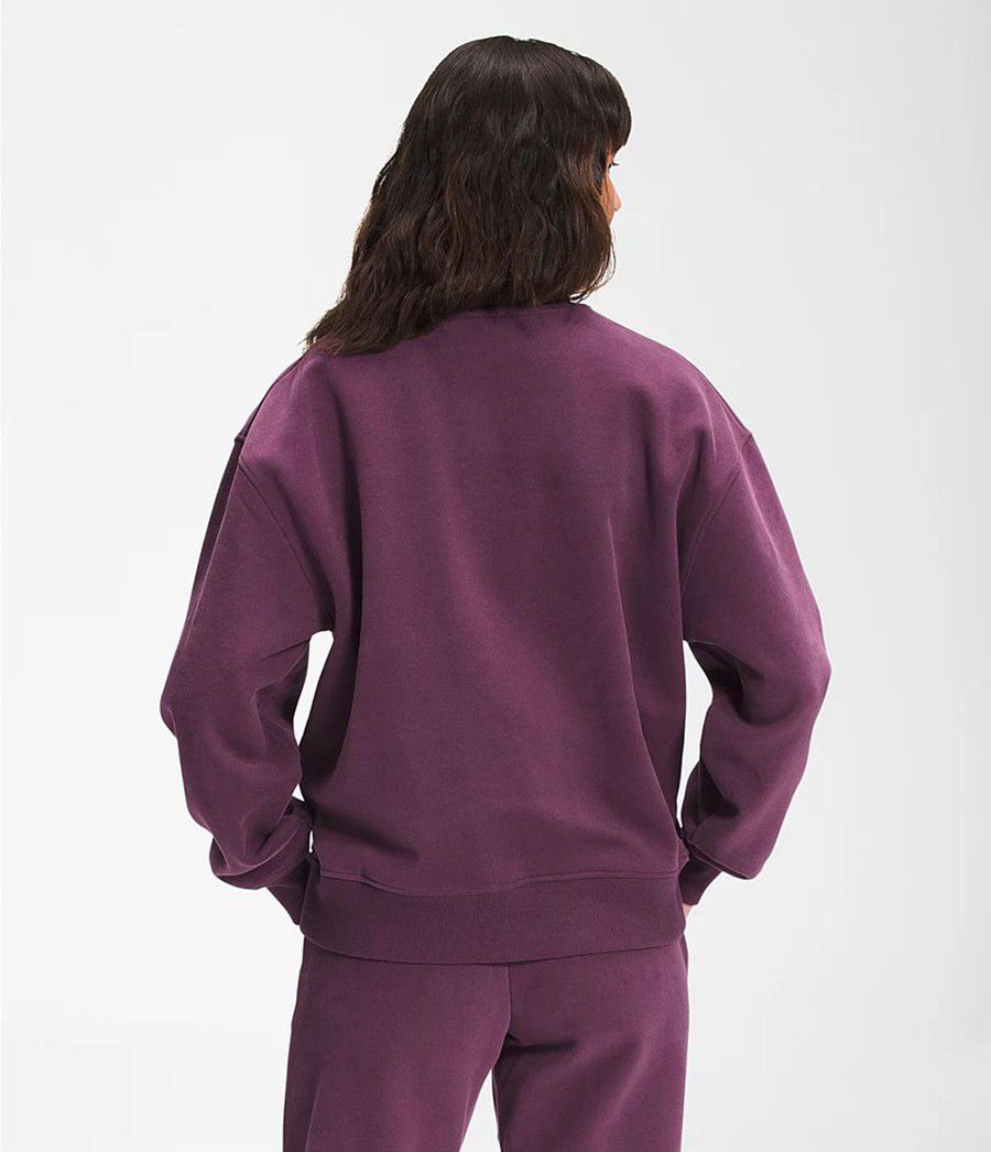 Dámské Mikiny The North Face City Standard Crew Fialové | XSIHQDA-65