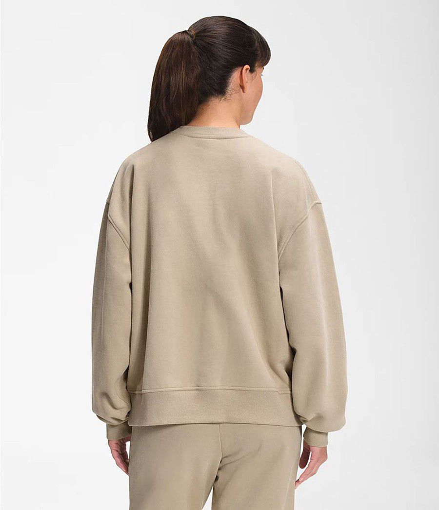 Dámské Mikiny The North Face City Standard Crew Béžový | QHMKGCS-79
