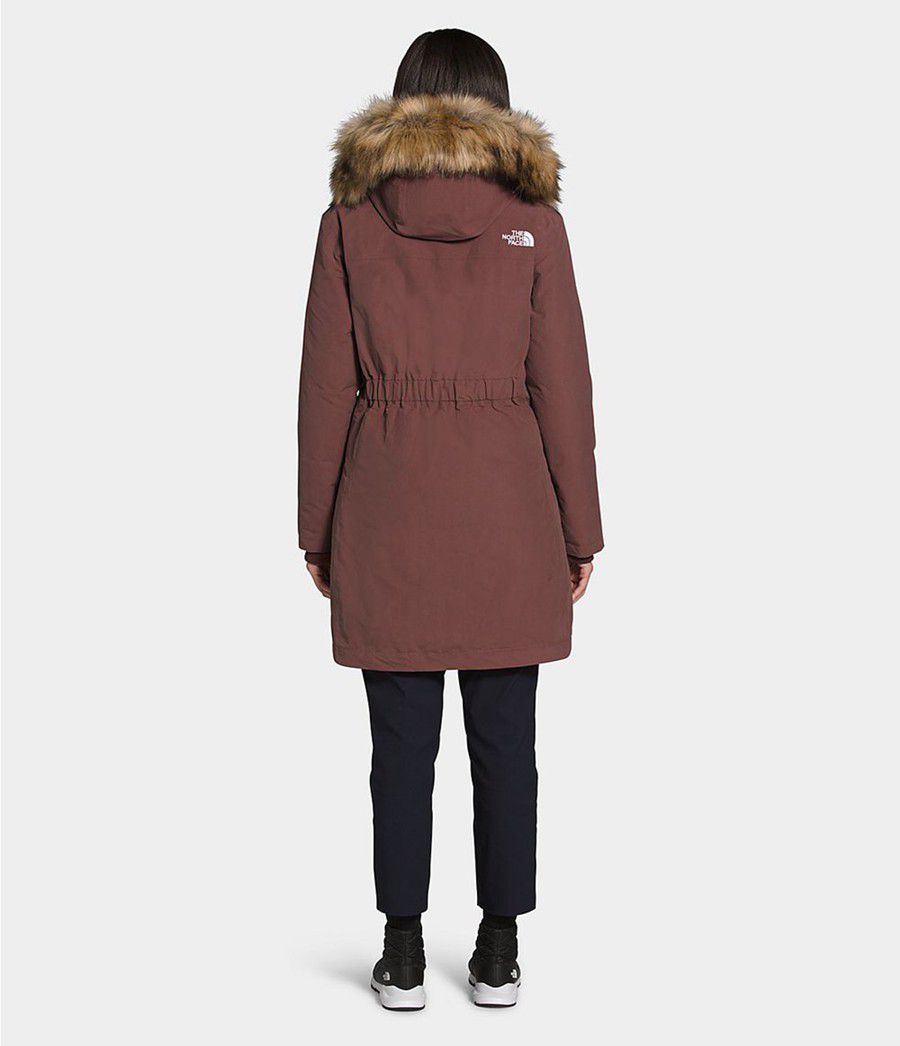 Dámské Parkas The North Face Arctic Fialové | VCONGHX-94