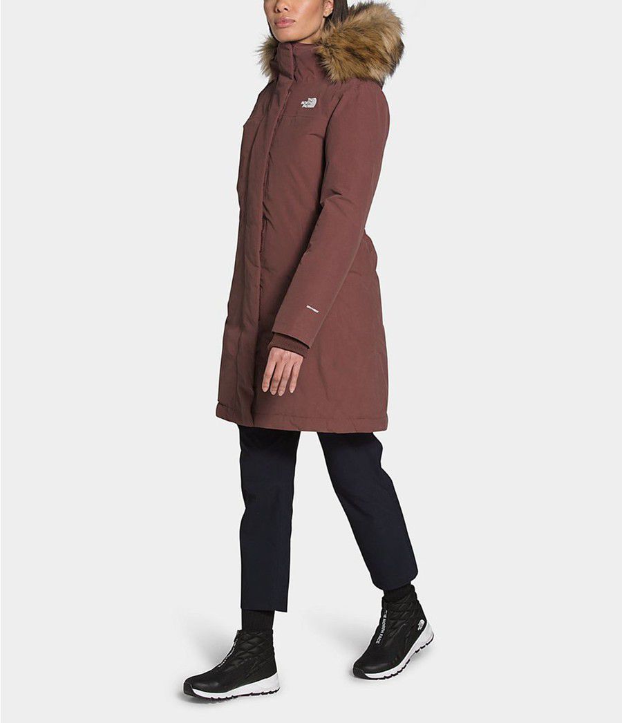 Dámské Parkas The North Face Arctic Fialové | VCONGHX-94