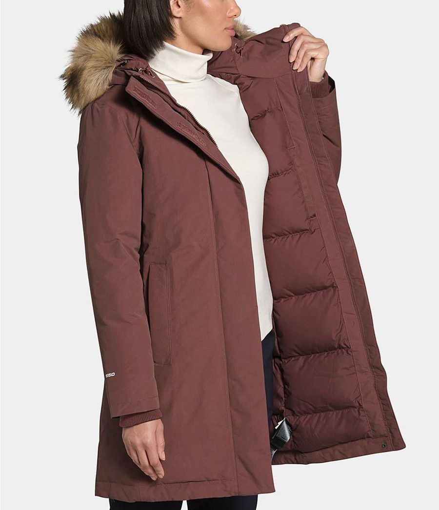 Dámské Parkas The North Face Arctic Fialové | VCONGHX-94