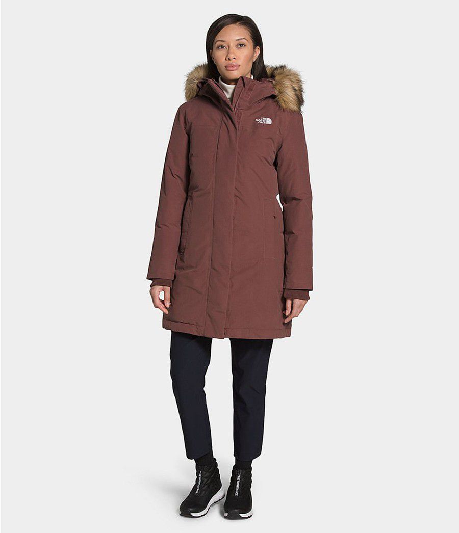 Dámské Parkas The North Face Arctic Fialové | VCONGHX-94