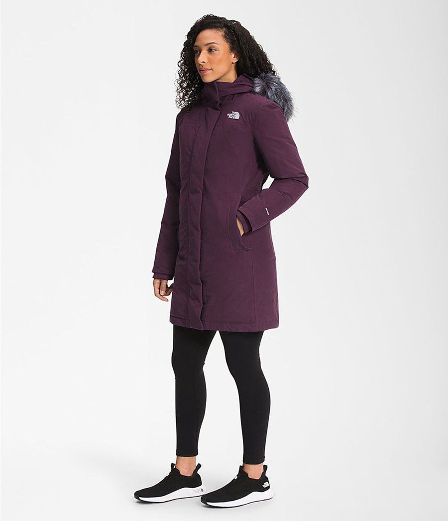 Dámské Parkas The North Face Arctic Fialové | WJPEOQV-25