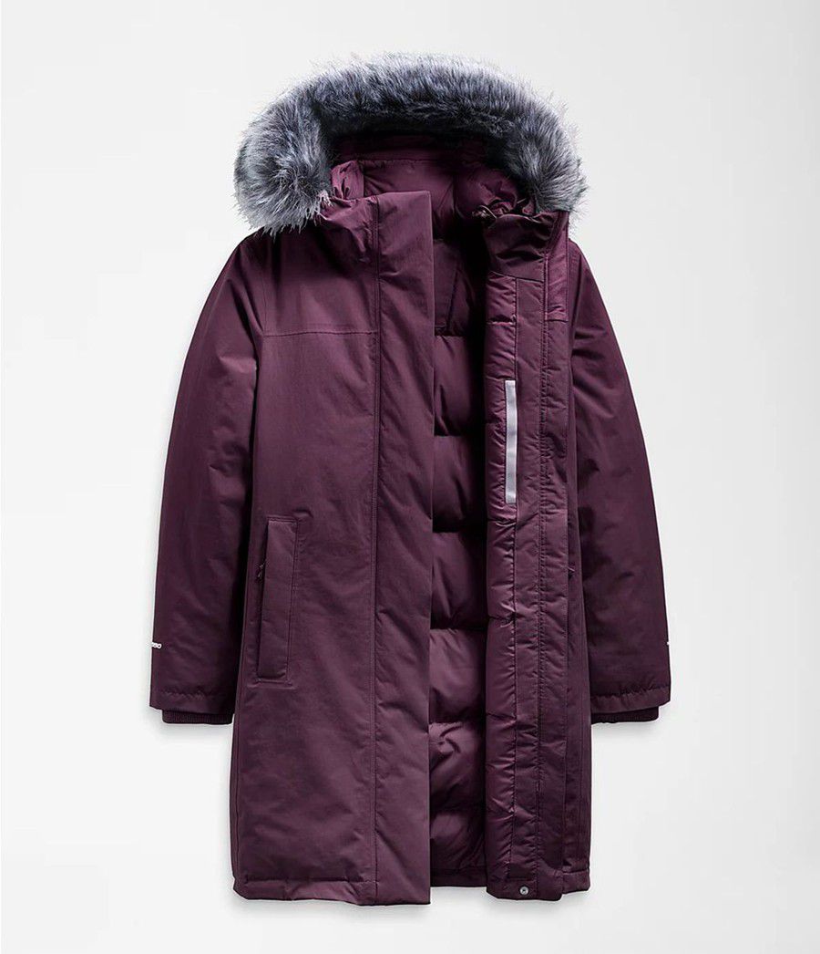 Dámské Parkas The North Face Arctic Fialové | WJPEOQV-25