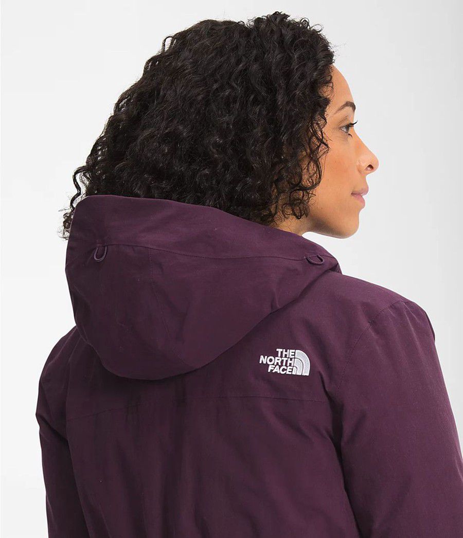 Dámské Parkas The North Face Arctic Fialové | WJPEOQV-25