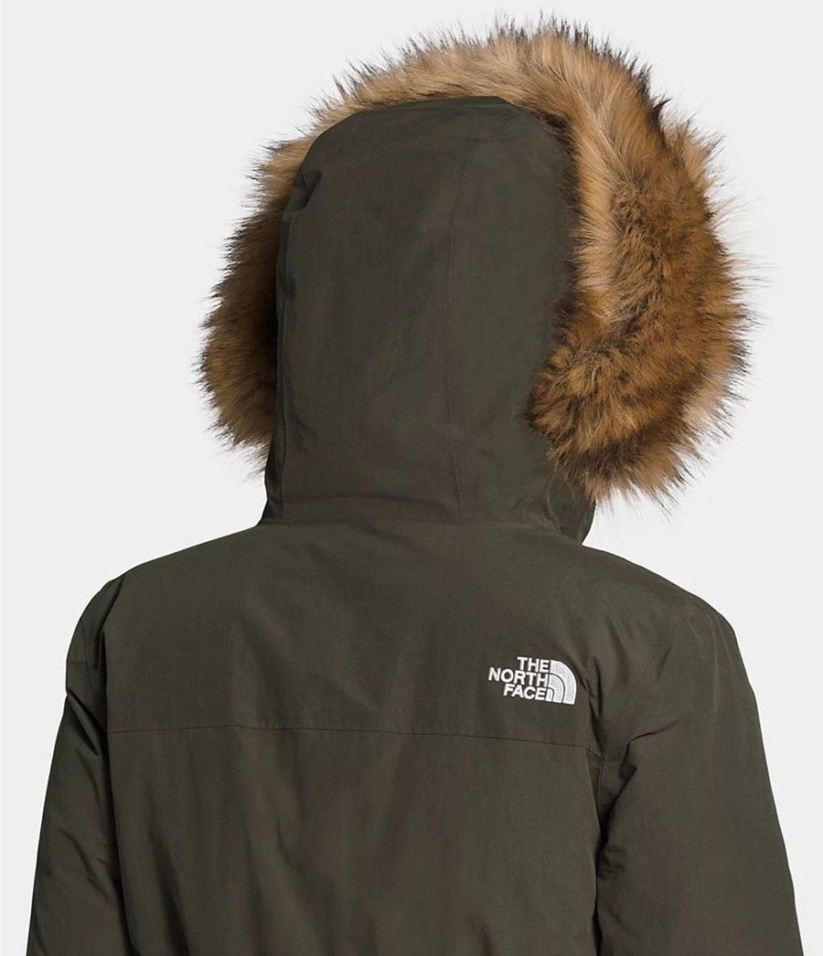 Dámské Parkas The North Face Arctic Olivy Zelené | FPKSIDZ-13