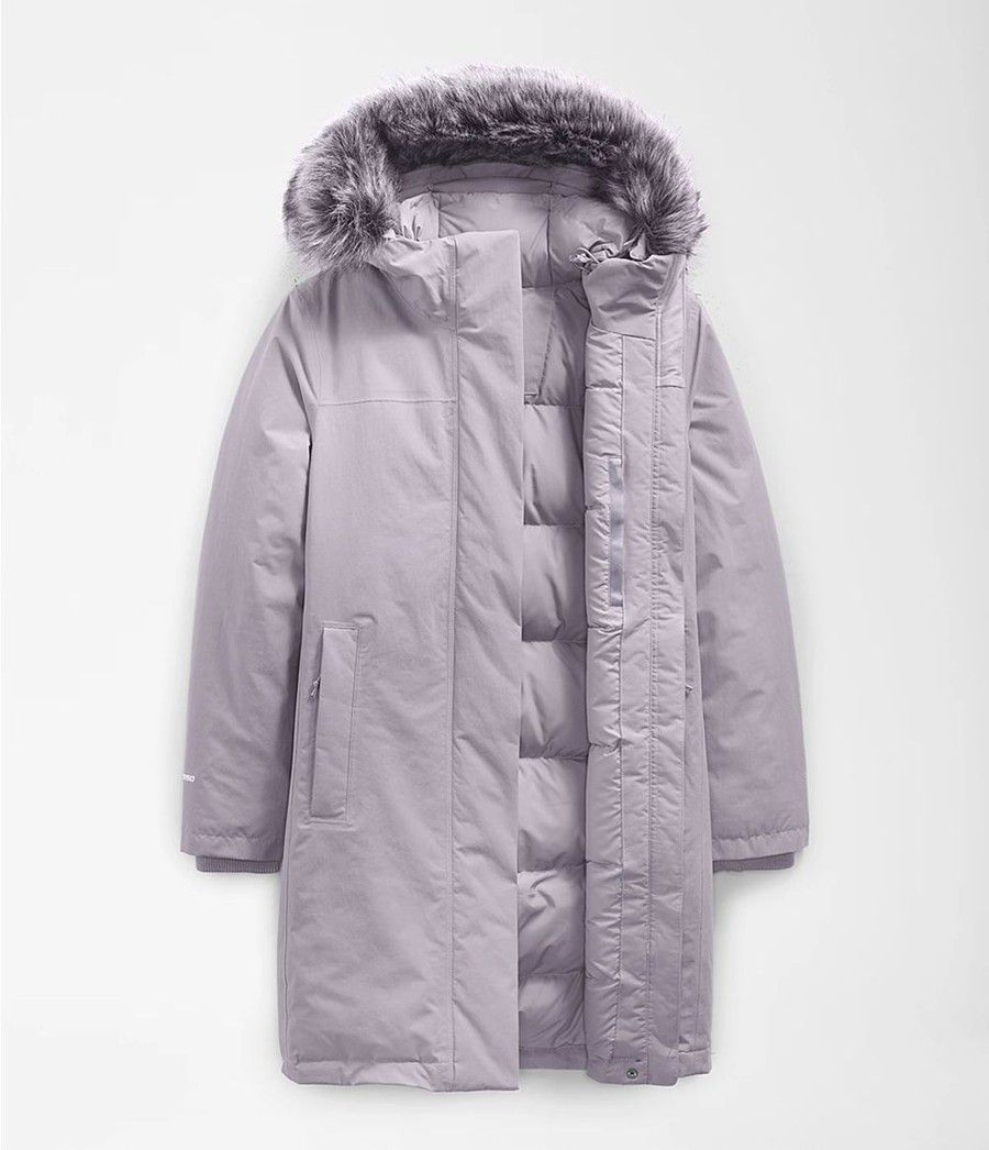 Dámské Parkas The North Face Arctic Šedé | BXRJEIW-76