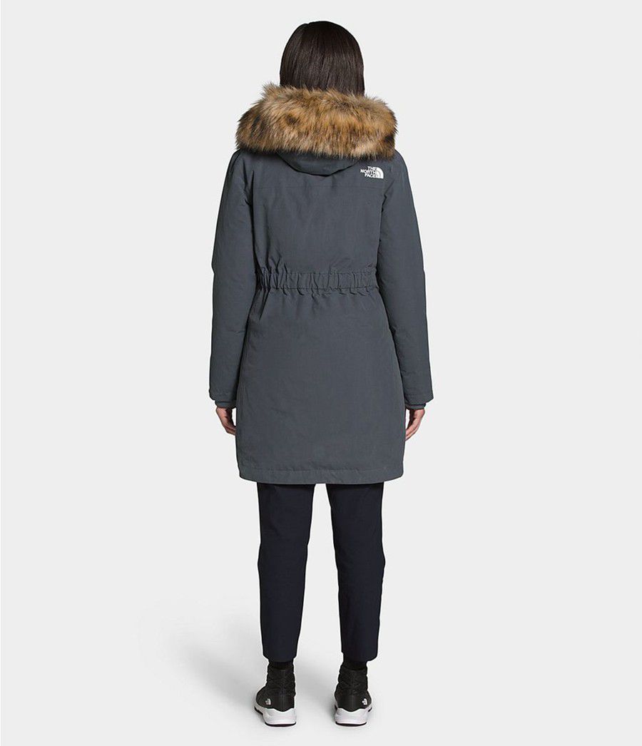 Dámské Parkas The North Face Arctic Šedé | DOYBFPM-65