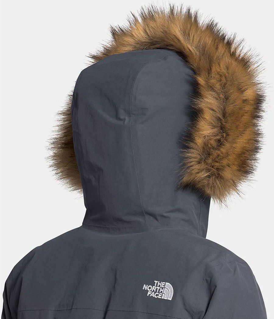 Dámské Parkas The North Face Arctic Šedé | DOYBFPM-65