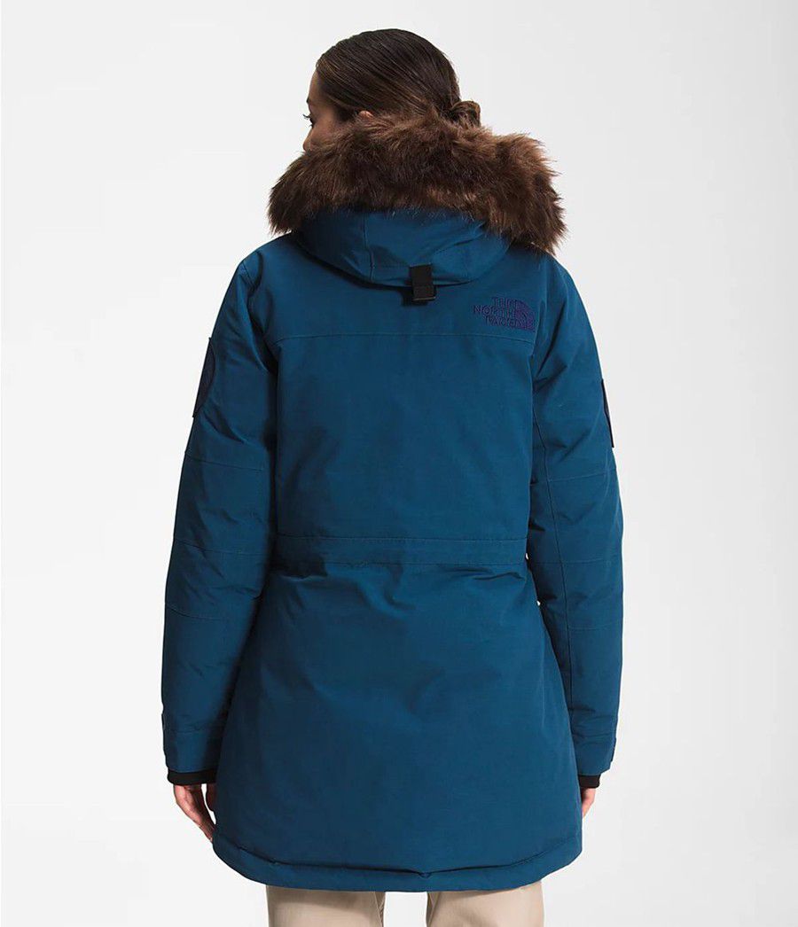 Dámské Parkas The North Face Expedition Mcmurdo Blankyt | OUVSLTB-41