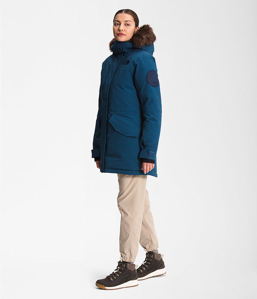 Dámské Parkas The North Face Expedition Mcmurdo Blankyt | OUVSLTB-41