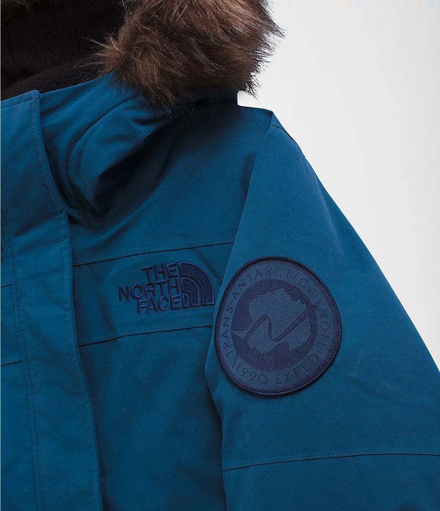Dámské Parkas The North Face Expedition Mcmurdo Blankyt | OUVSLTB-41
