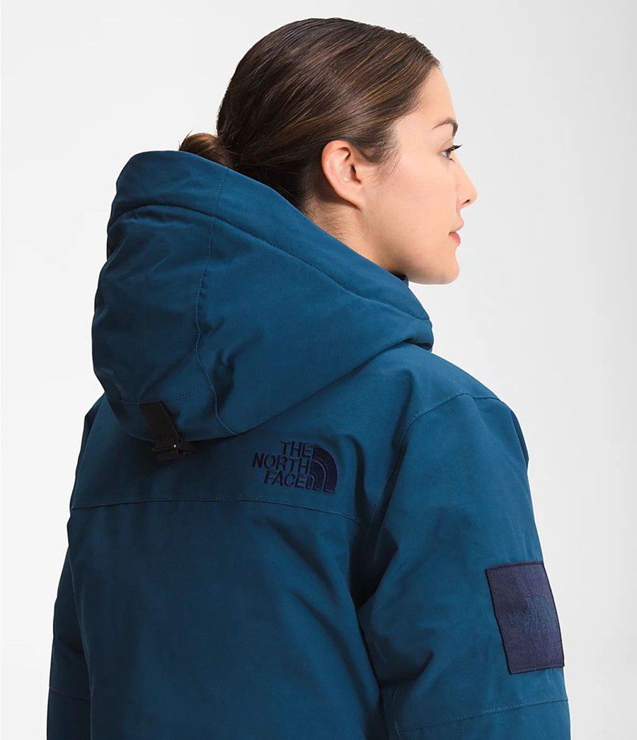 Dámské Parkas The North Face Expedition Mcmurdo Blankyt | OUVSLTB-41